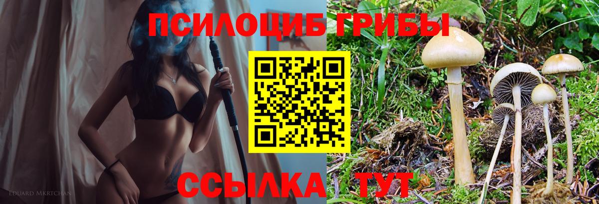 Кириши  Галлюциногенные грибы мицелий  Вход с VPN 